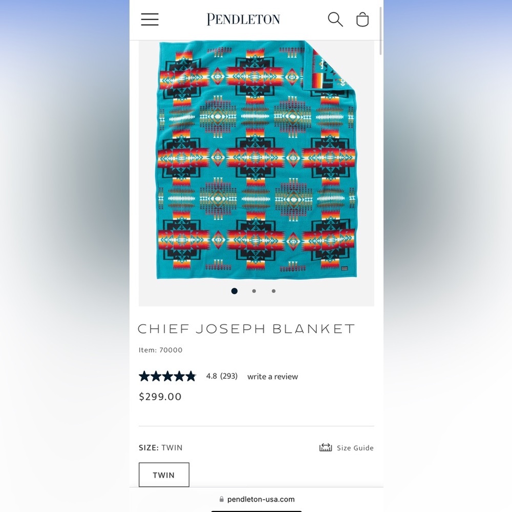 New Pendleton Chief Joseph Blanket (no fringe) - Picture 5 of 6